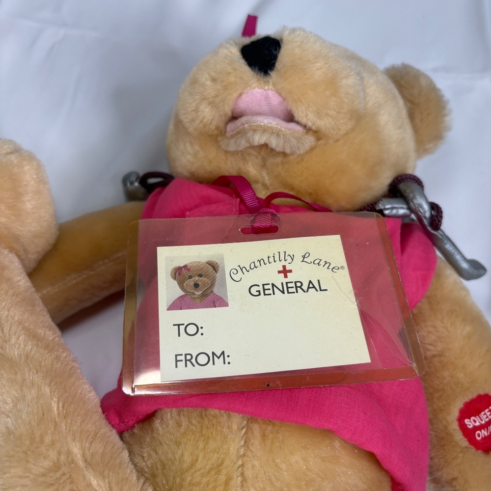 Chantilly Lane Nurse Bear Sings Pink Scrubs Top/Badge/Stet 19" Moves NO Sound - Picture 10 of 14